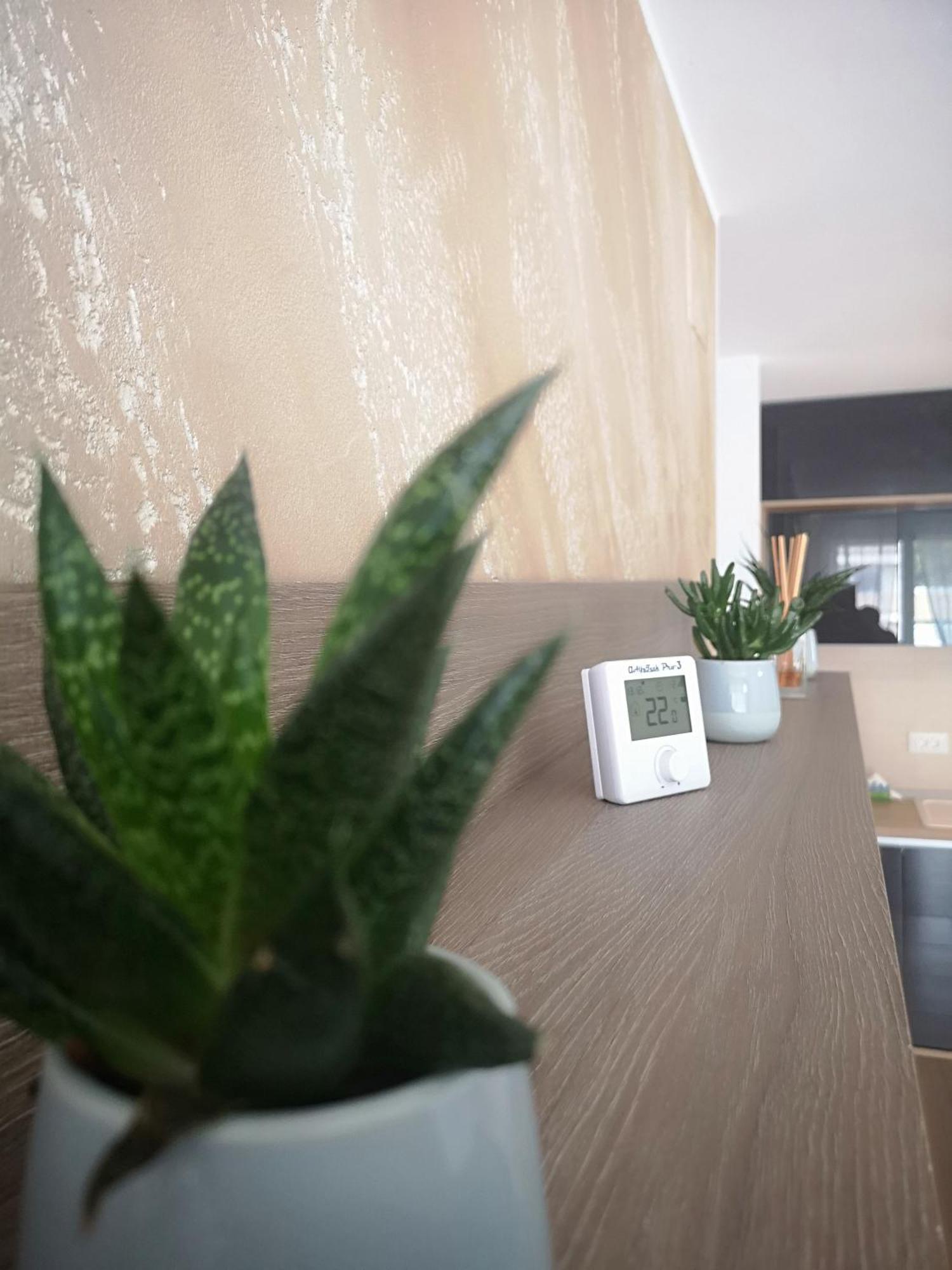 Apartament Alexandra View *
