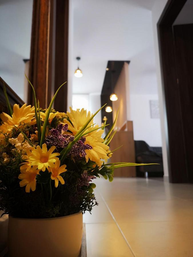 Apartament Alexandra View