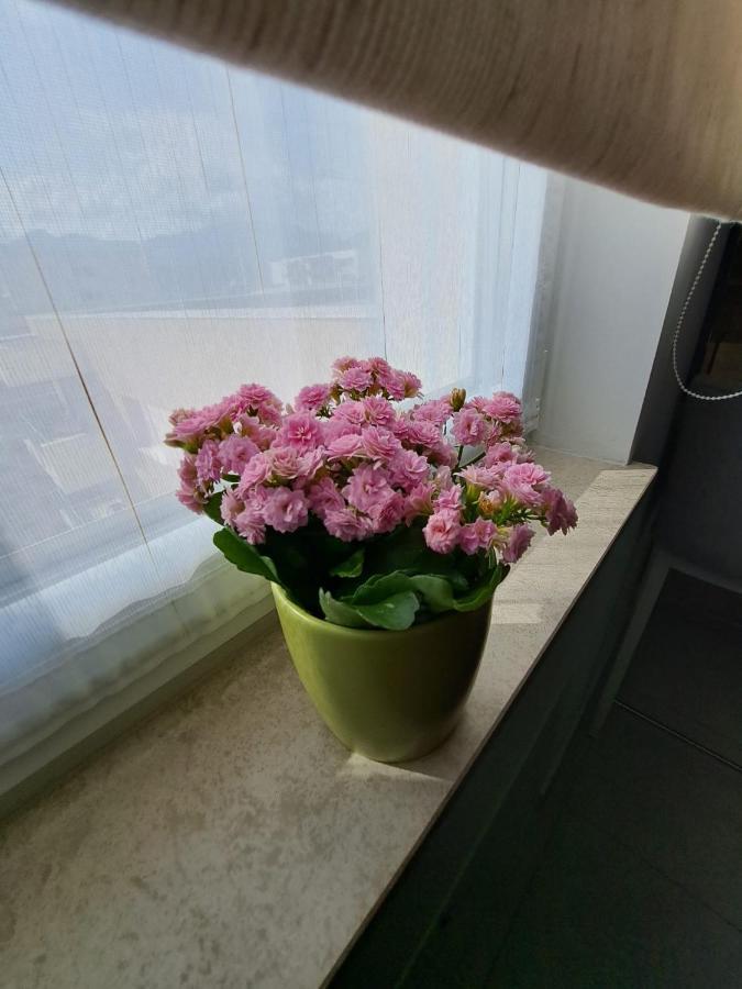 Appartamento Alexandra View *